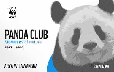 Panda Club